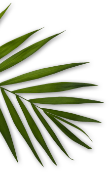 Orakel Niacinamide Ceramide face wash product packaging side view