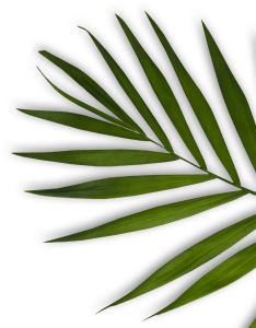 Orakel Niacinamide Ceramide face wash product packaging side view