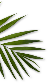 Orakel Niacinamide Ceramide face wash product packaging side view