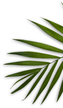 Orakel Niacinamide Ceramide face wash product packaging side view